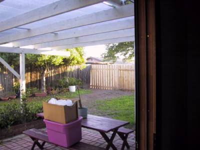 The New Backyard.jpg