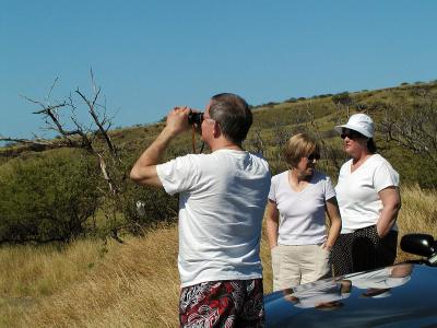 Whale Watching