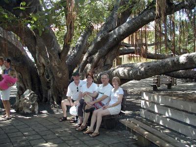 Banyan Tree-Lahaina