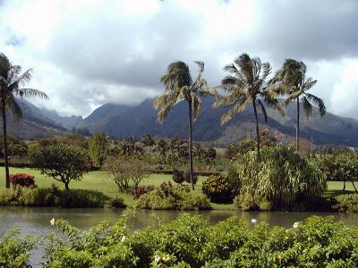Maui Tropical Gardens 1