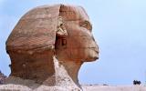 Le Sphinx - Profil et cavaliers