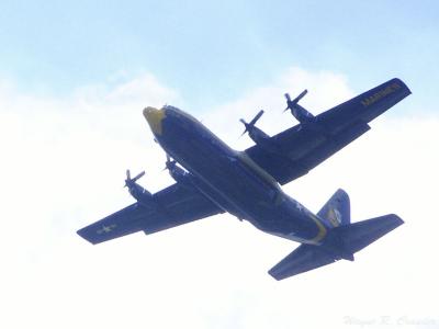 Fat Albert.jpg