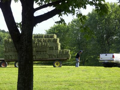 u35/demorcan/medium/31886693.HayBaling.jpg