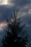 DSC_2513_Sunrise Gusts.jpg