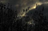 DSC_2519_Winter Nears.jpg