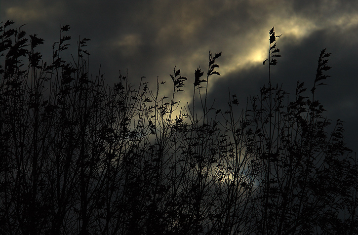 DSC_2519_Winter Nears.jpg