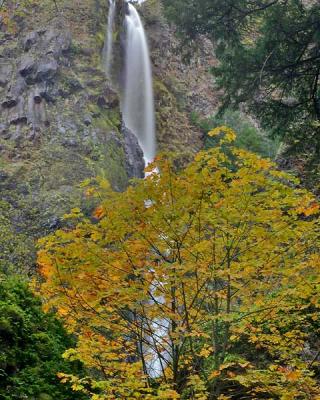 Starvation-Creek-Falls-W.jpg