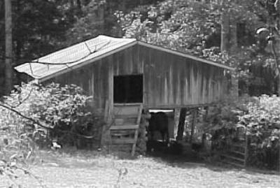 aged barn