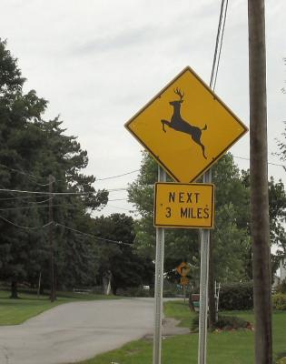 Sign Post