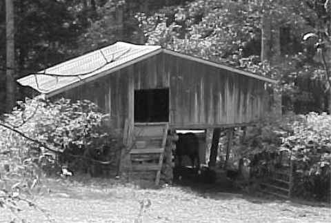 aged barn