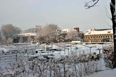 Volkstuinencomplex achter 't Trefpunt