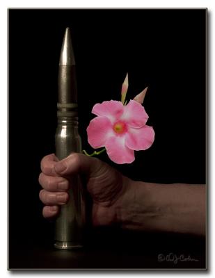 Silver Bullet w/flower