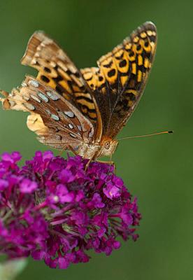 DSC_5734.jpg