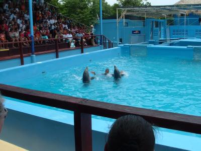 2004_0719Image0399.JPG