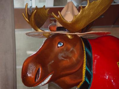 RCMP Moose