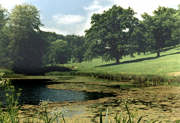 Stourhead Garden