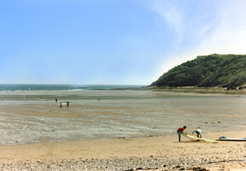 Wales: Oxwich Bay on the Gower Peninsula