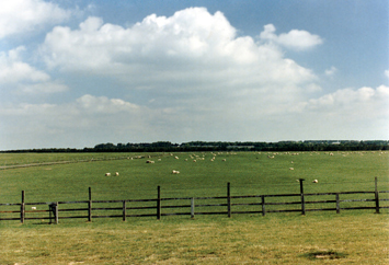 This field, with grazing sheep, surrounds Stonehenge, a megalithic structure from the Neolithic Period.
