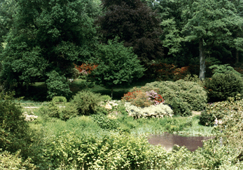 Stourhead Garden
