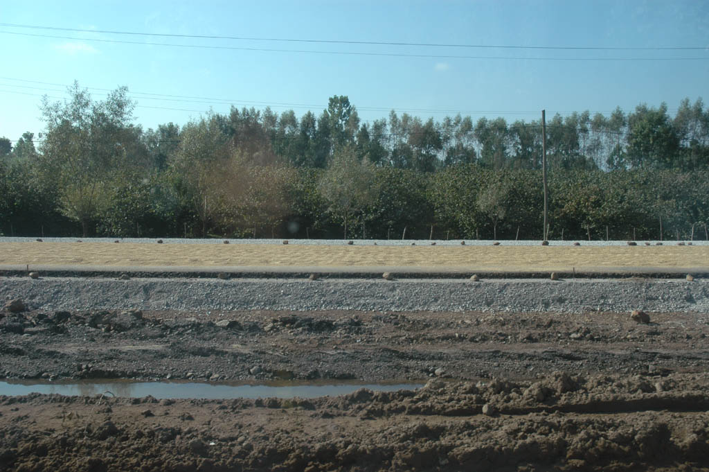 nye road