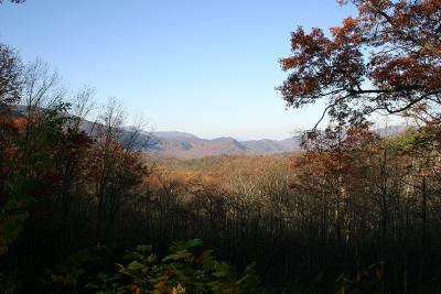 Hiking scenery