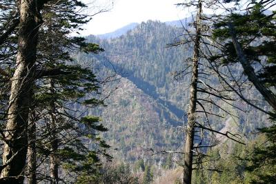 View from Appalachian Trail.