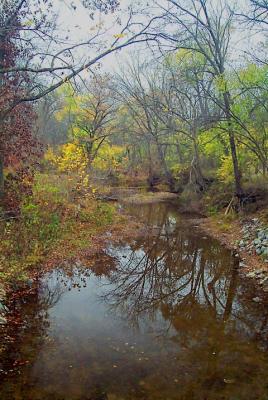 Edit-of-Mark-Abraham-fall-c.jpg