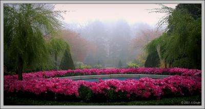Foggy-Longwood-Fall pc.jpg