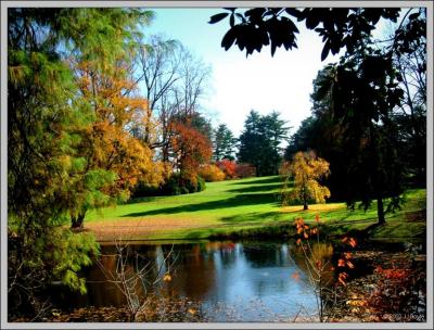 Across a pond