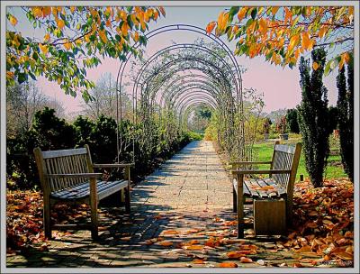 Entrance to the fruit and veggie gardens