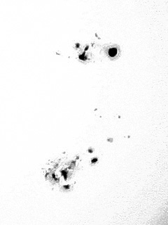 Monochromatic, cropped, sunspots from my FC-76 image