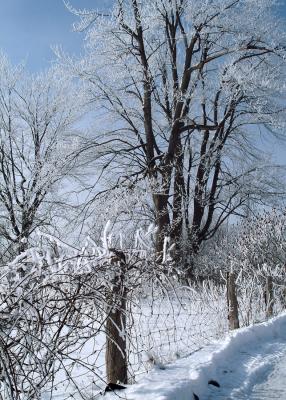 winter_2005