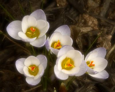 3/7/05 - Spring!!!