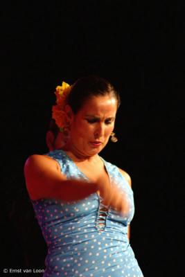 CRW_5172_RJ.jpg