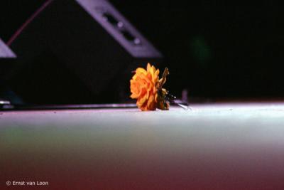 CRW_5185_RJ.jpg