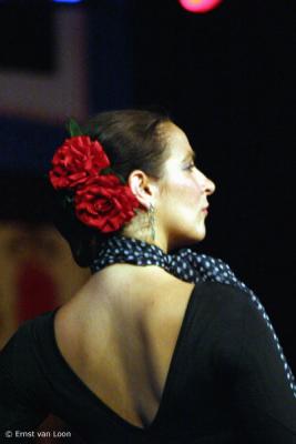 CRW_5189_RJ.jpg
