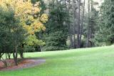 Meadow