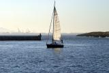 Afternoon Sail