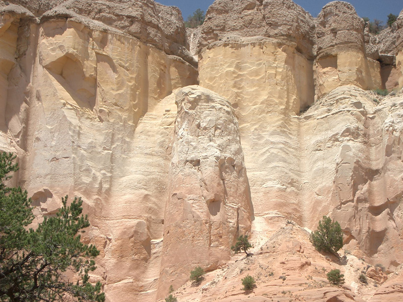 Bear in Cliff