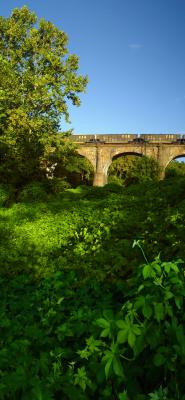 Viaduct