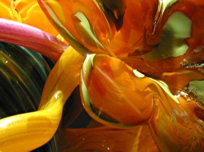 Orange Flower Detail