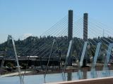 Tacoma Bridge and Reflecting Pool