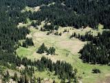 Prospector Creek Meadow