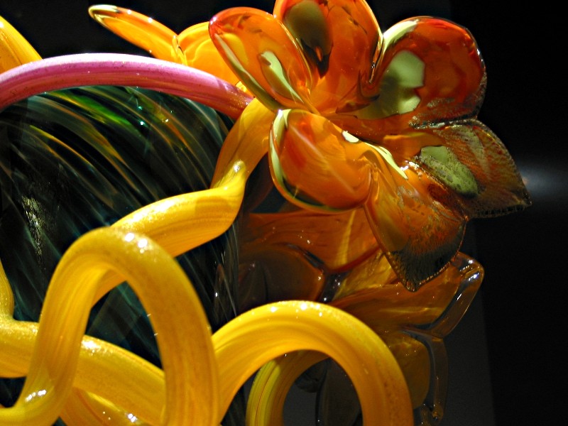 Orange Flower and Yellow Curls