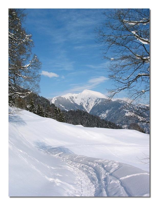 Hiking Trail