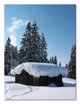 Alpine Huts in Winter