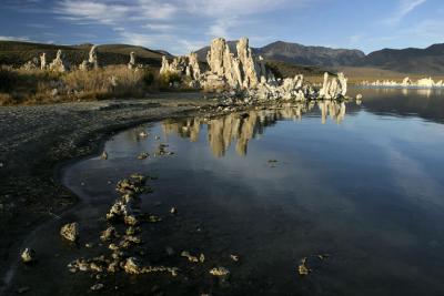 CRW_3096_RT8.jpg