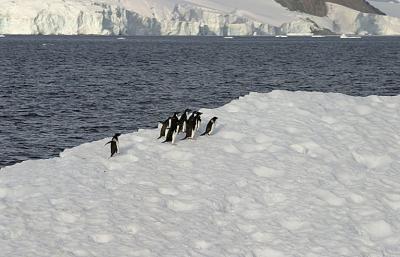 Antarctic Sound Iceberg 0363