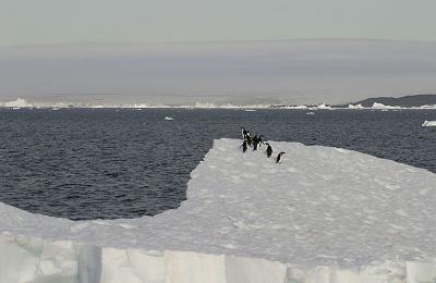 Antarctic Sound Iceberg 0368