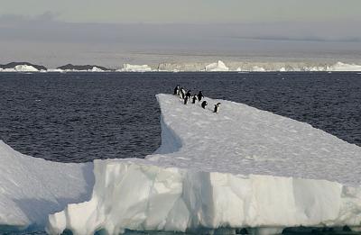 Antarctic Sound Iceberg 0371